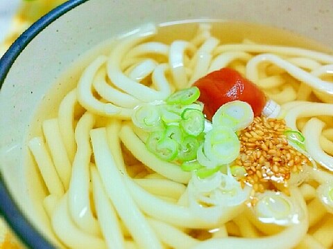 すっぱ旨い♪梅干し入りの温かいうどん